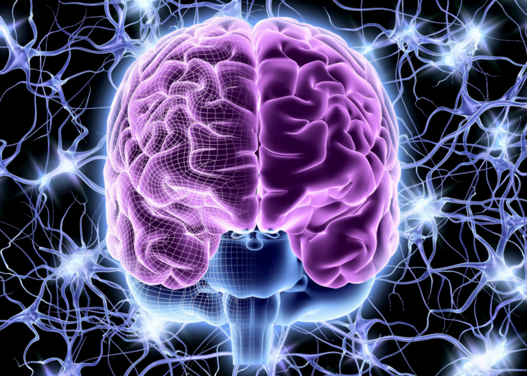 a purple and blue brain