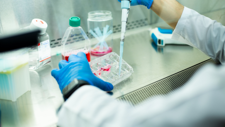 Stem Cell Banks