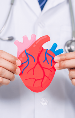 Congestive-Heart-Failure-Therapy Image of a doctor explaining heart related health conditions.